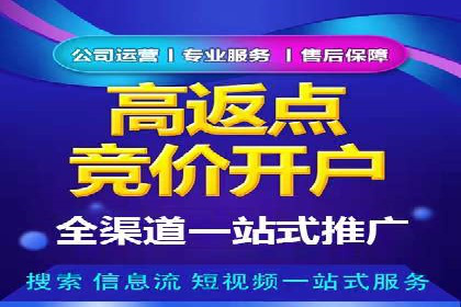 搜索开户返点政策下的用户增长案例